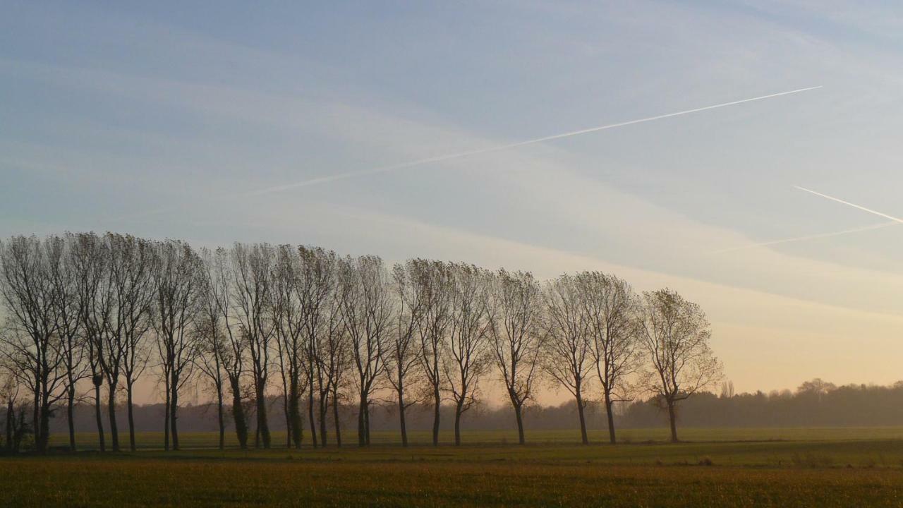 Vila Les Houx De Mathieu Engis Exteriér fotografie
