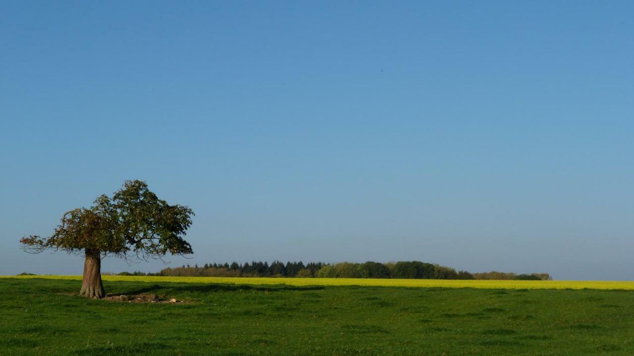 Vila Les Houx De Mathieu Engis Exteriér fotografie